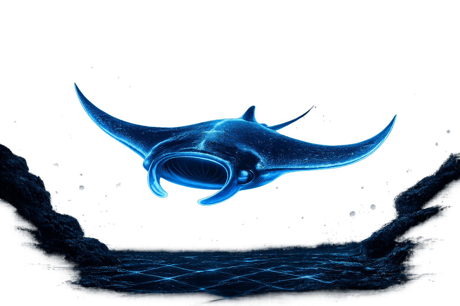 CineForge Manta Ray